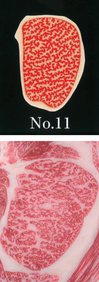 A5-11