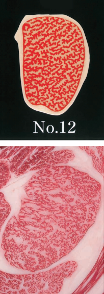 A5-12