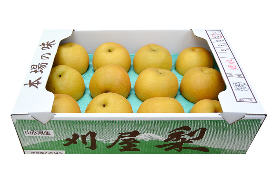 和梨　刈屋梨