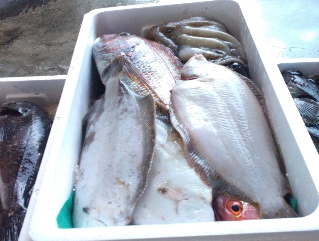 鮮魚セットA