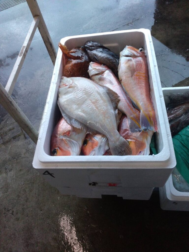 鮮魚セットB