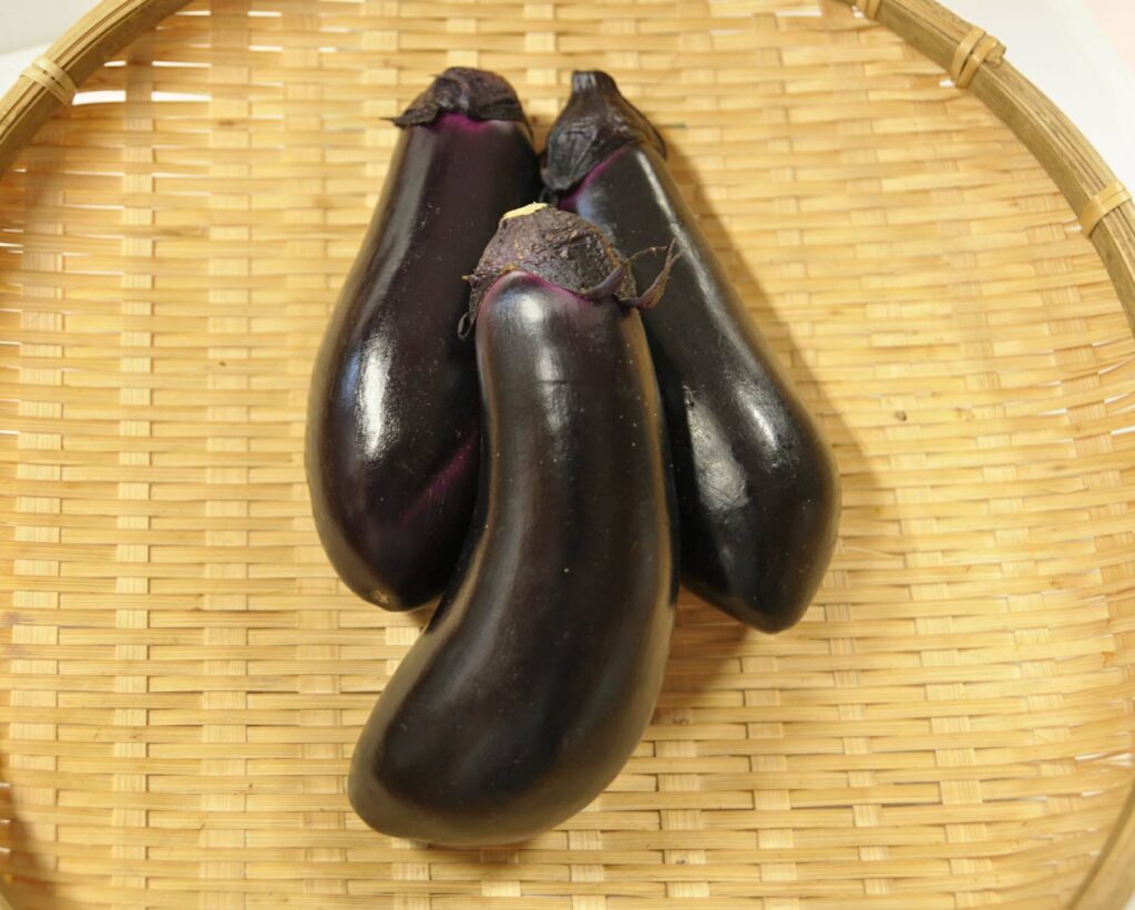 庄内砂丘なす