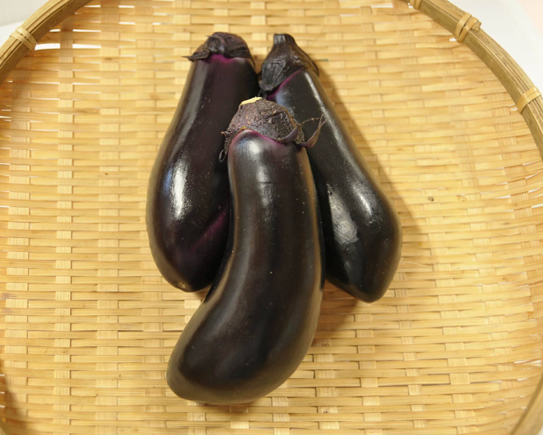 庄内砂丘なす