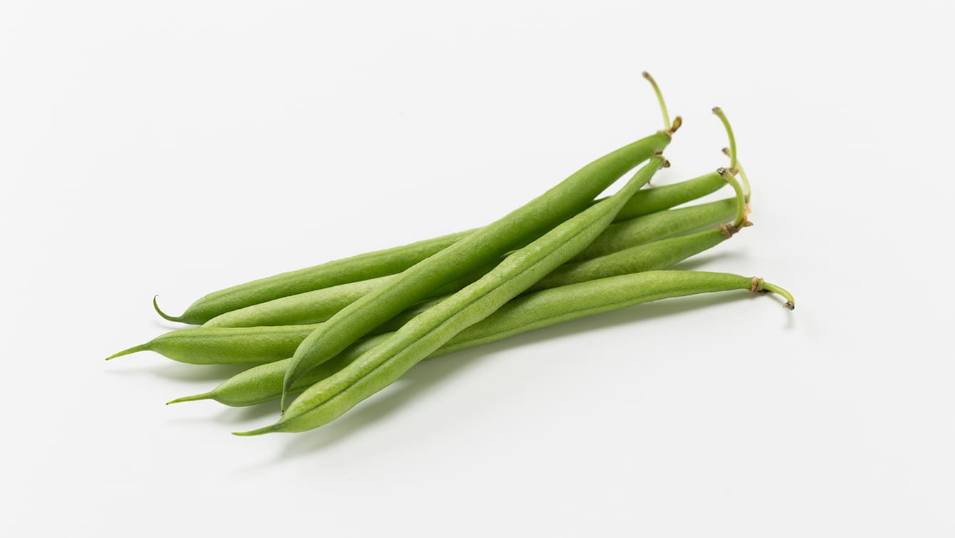 インゲン豆