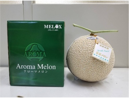 アローマメロン（化粧箱1玉）