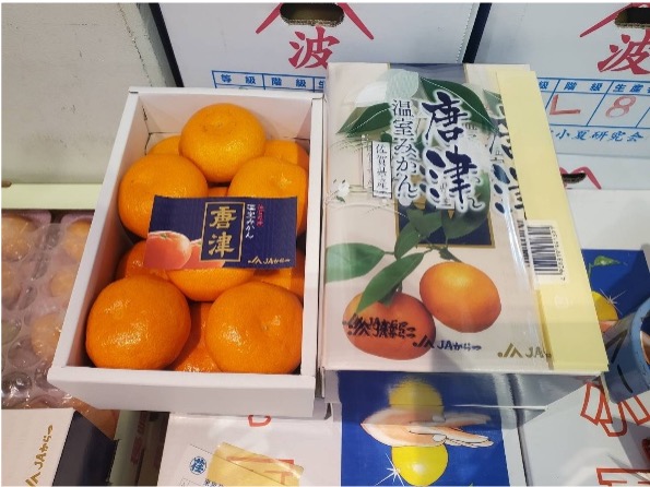 ハウスみかん（化粧箱1.8㎏）