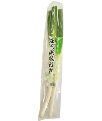 庄内ねぎ
