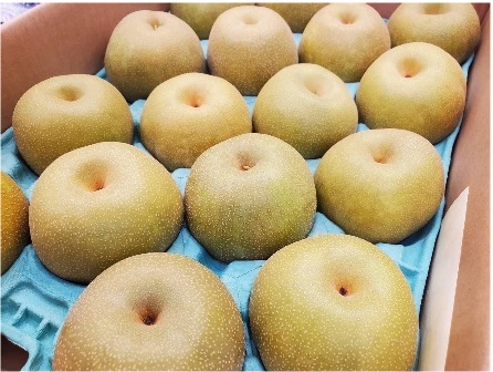 幸水梨（5㎏12玉）