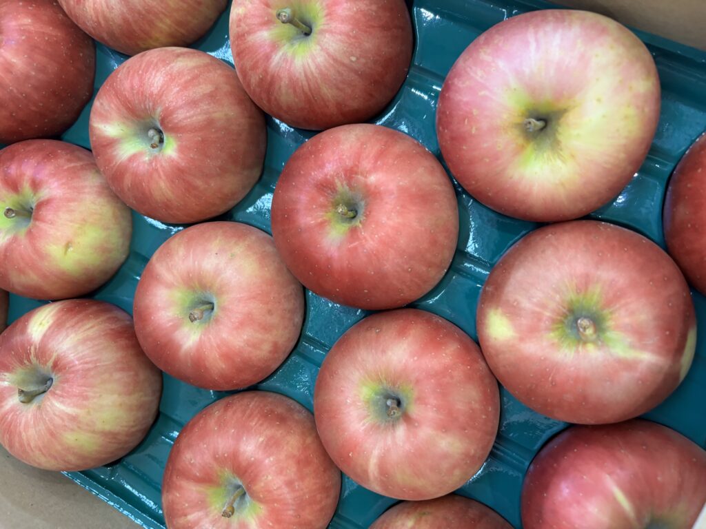 葉とらずりんご